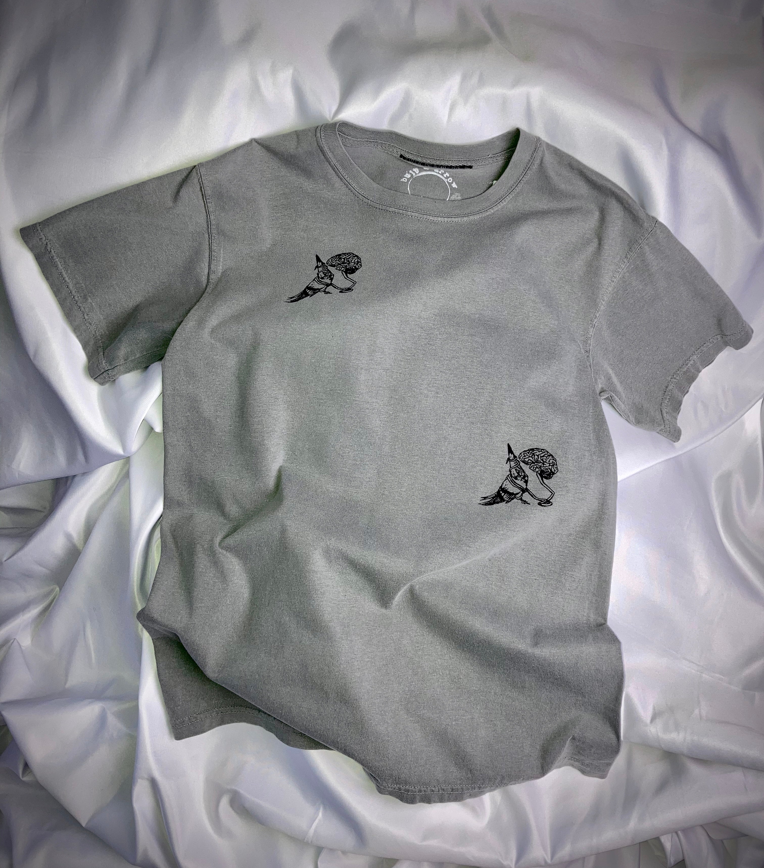 Bird-Brain T-Shirt [Grey]